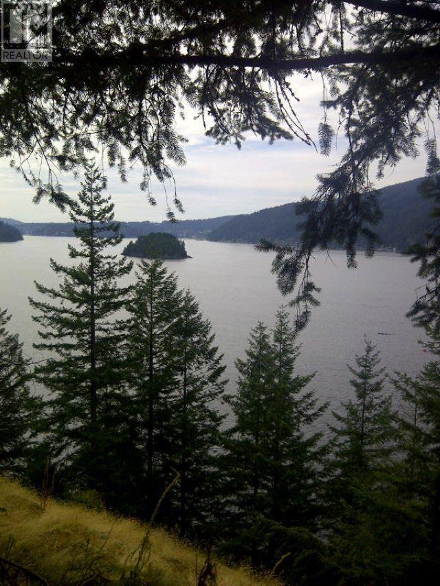Lot 2 &-3 Indian Arm Property Photo 20