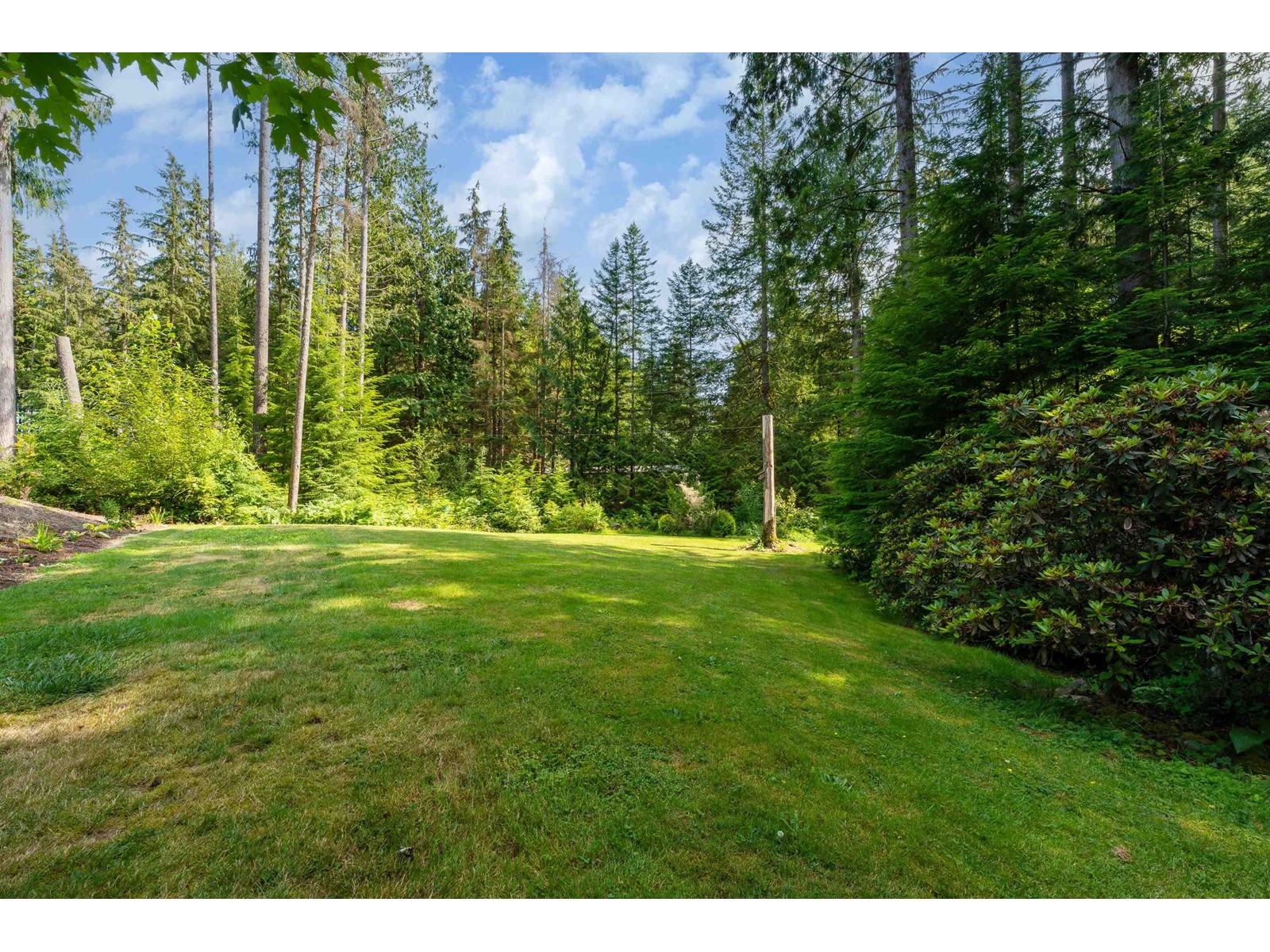 12668 Cathy Crescent Property Photo 28