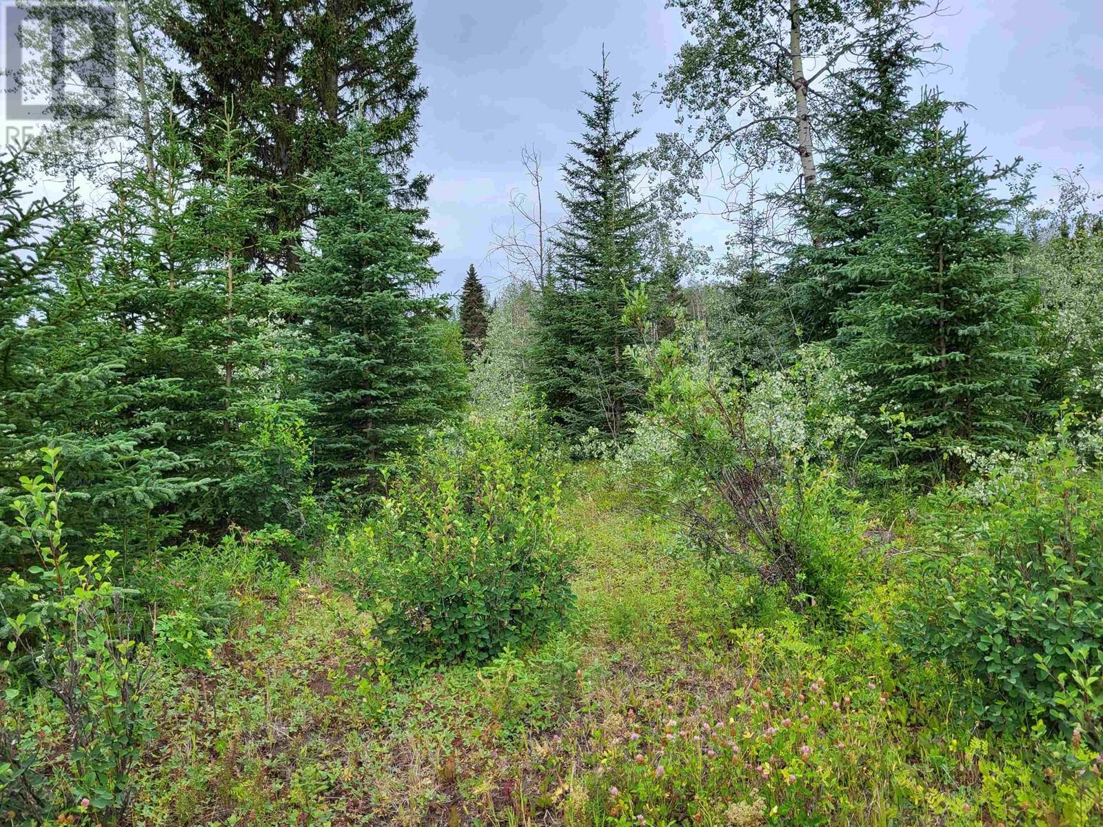 660 Sparks Road Property Photo 10