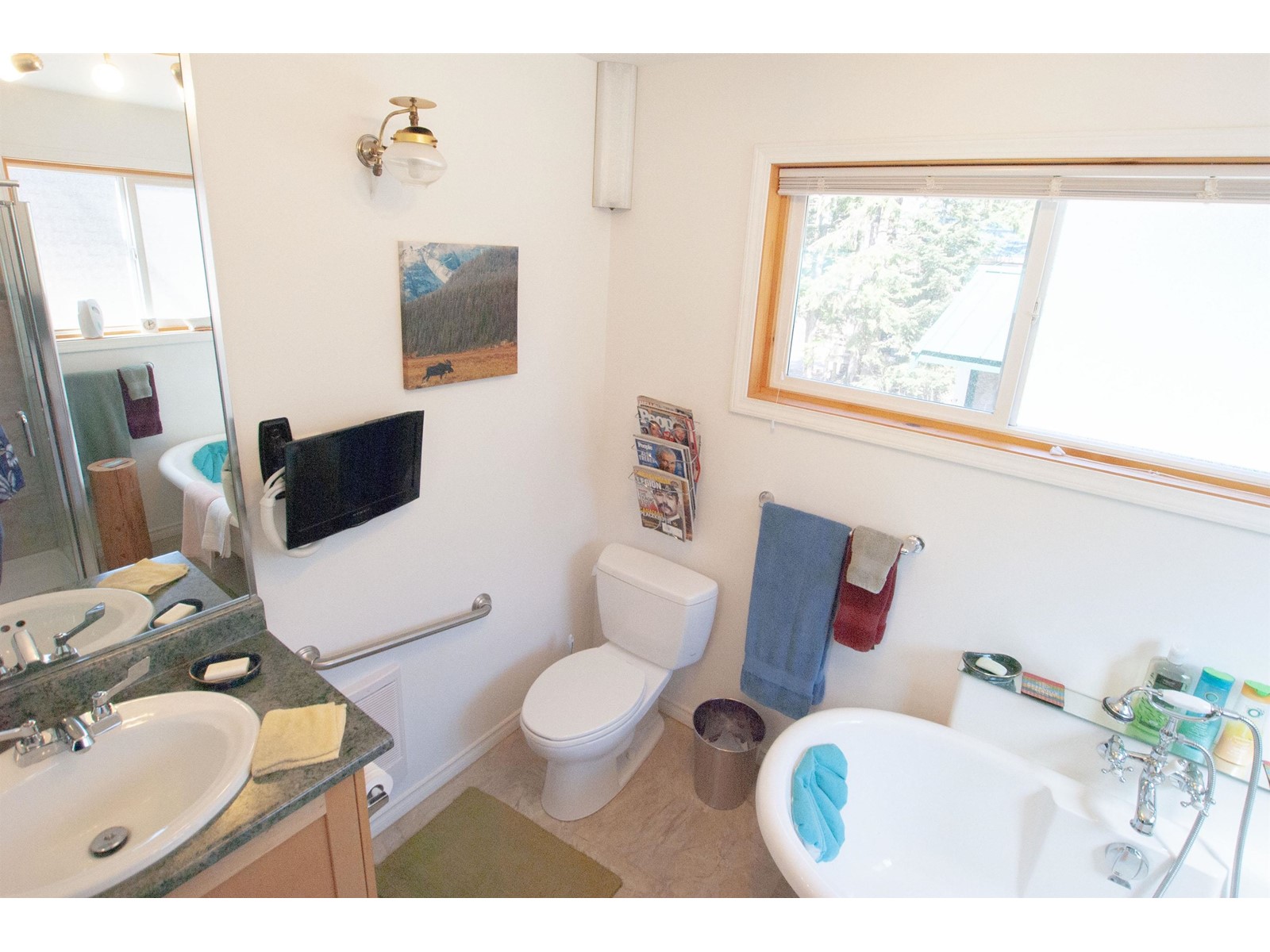 11 Lot 117-13660 Forest Service Road, Laidlaw Property Photo 12