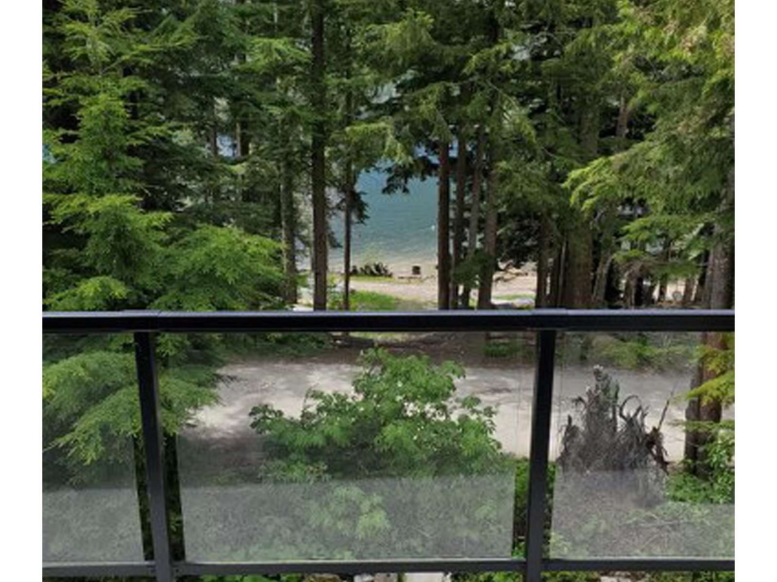 11 Lot 117-13660 Forest Service Road, Laidlaw Property Photo 23