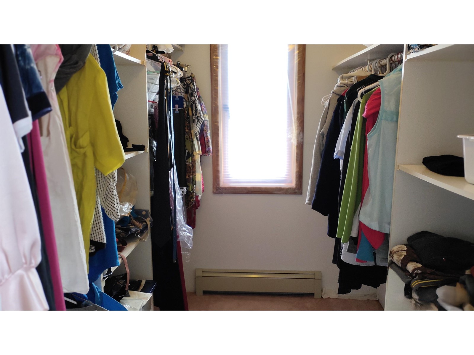 12978 96a Avenue Property Photo 25