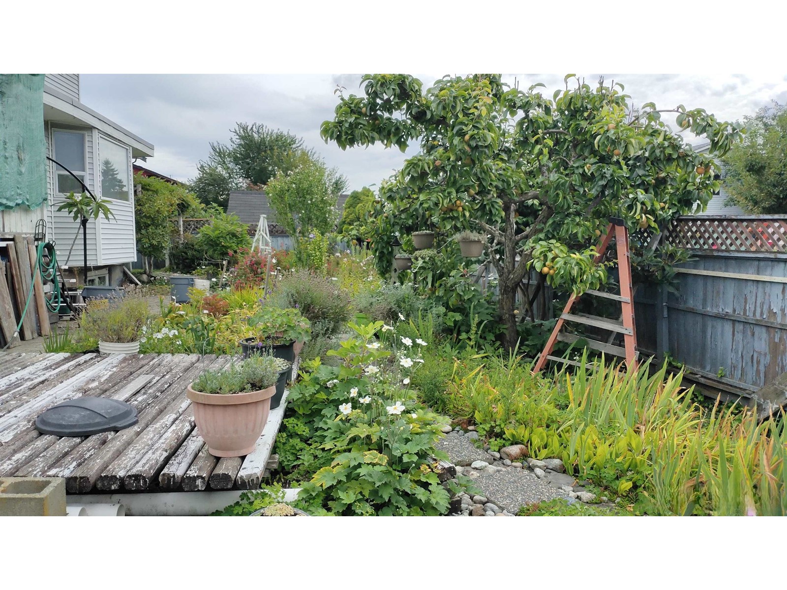 12978 96a Avenue Property Photo 39