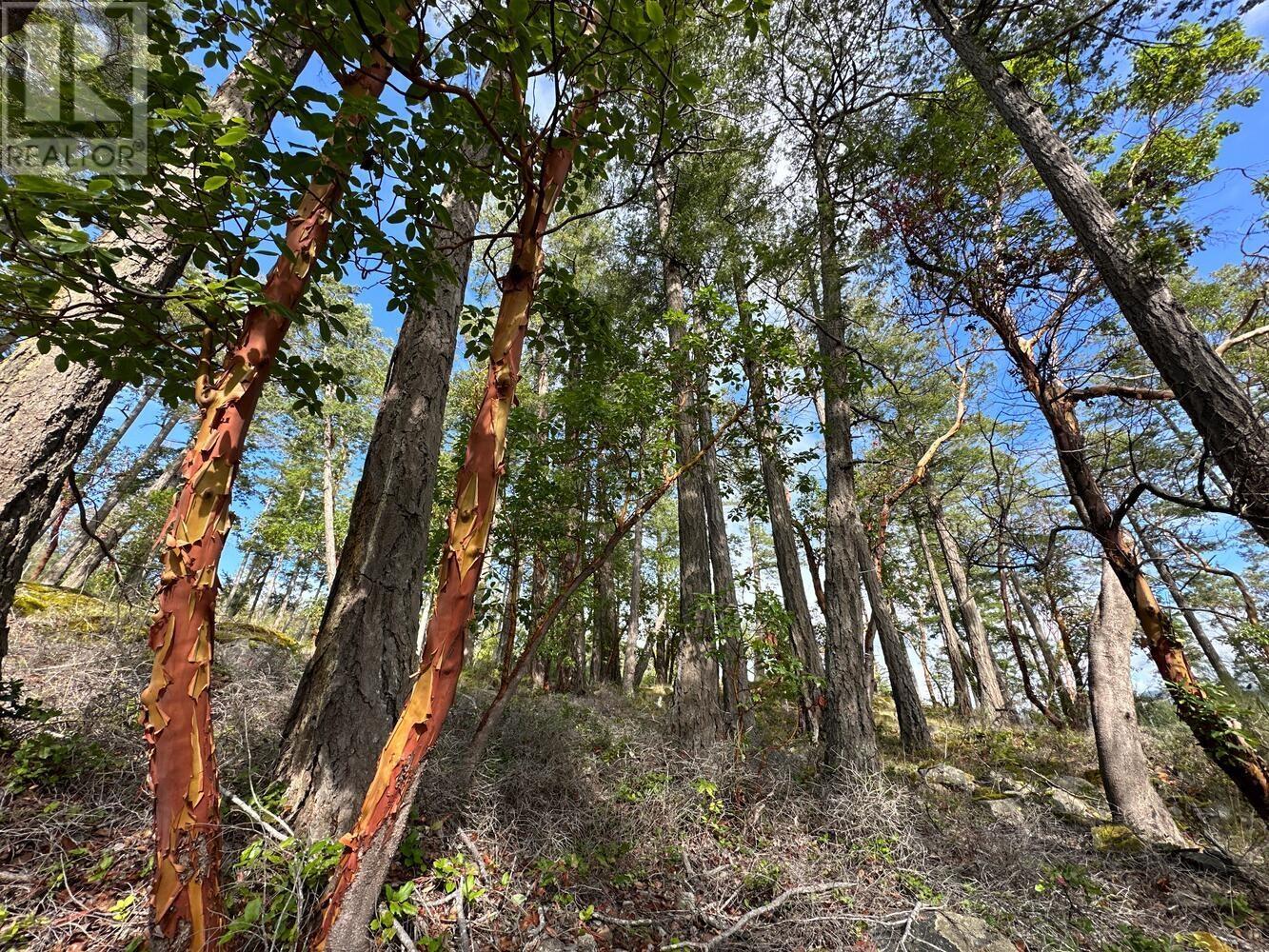 Lot 14 Flagship Road Property Photo 6