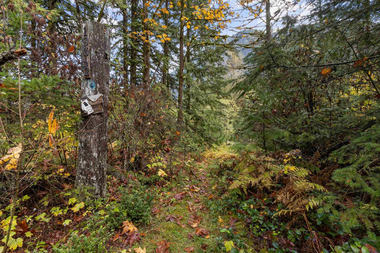 19602 Silver Skagit Road, Hope Property Photo 3