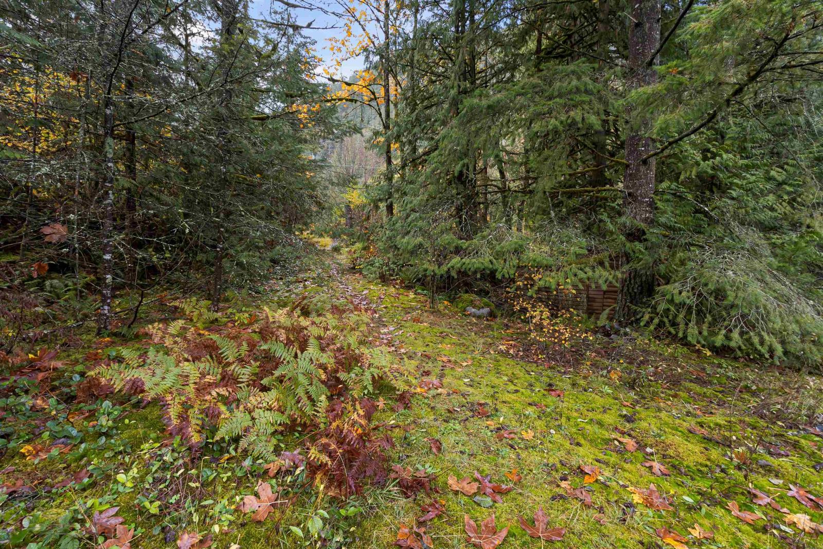 19602 Silver Skagit Road, Hope Property Photo 4