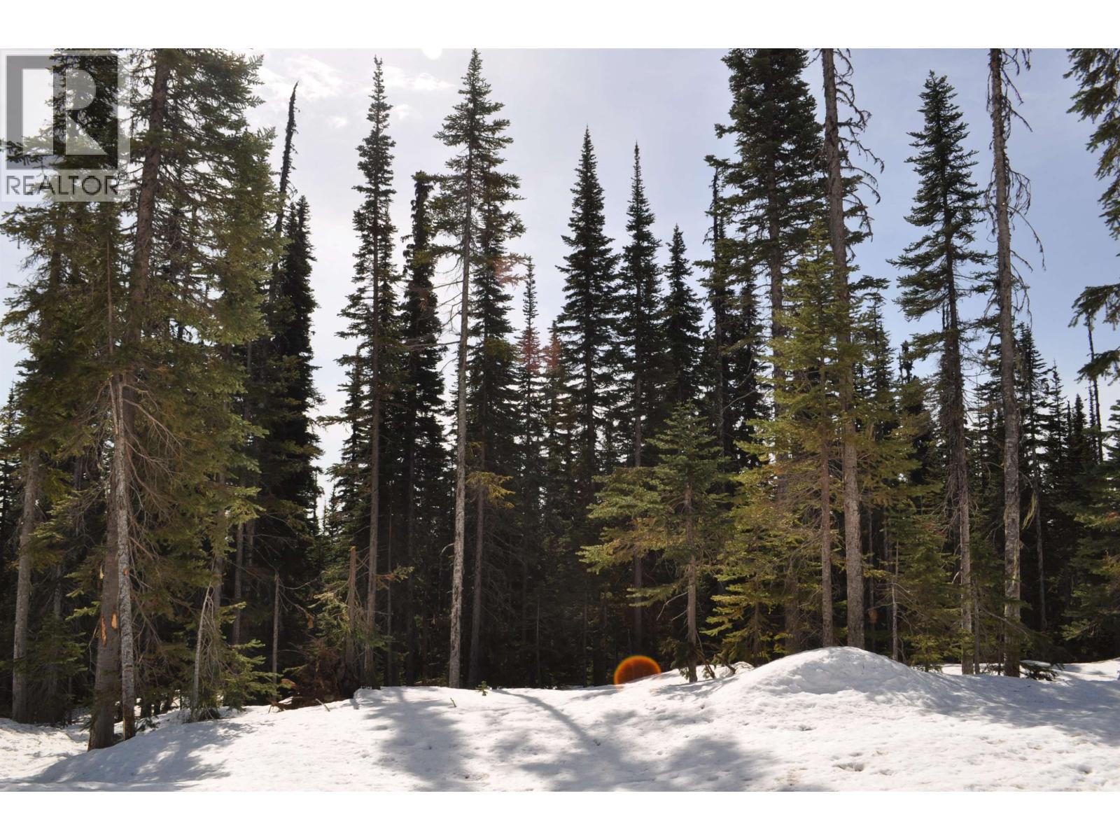 Pst Lot-12 Alpine Way Property Photo 3