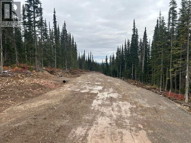 Pst Lot-12 Alpine Way Property Photo 8