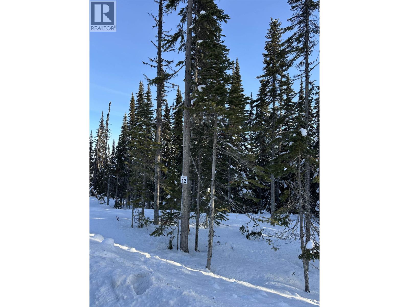 Pst Lot-12 Alpine Way Property Photo 9