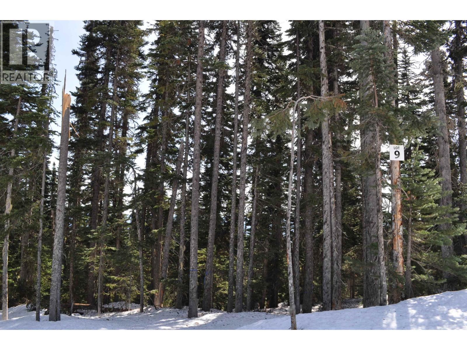 PST LOT-9 ALPINE WAY