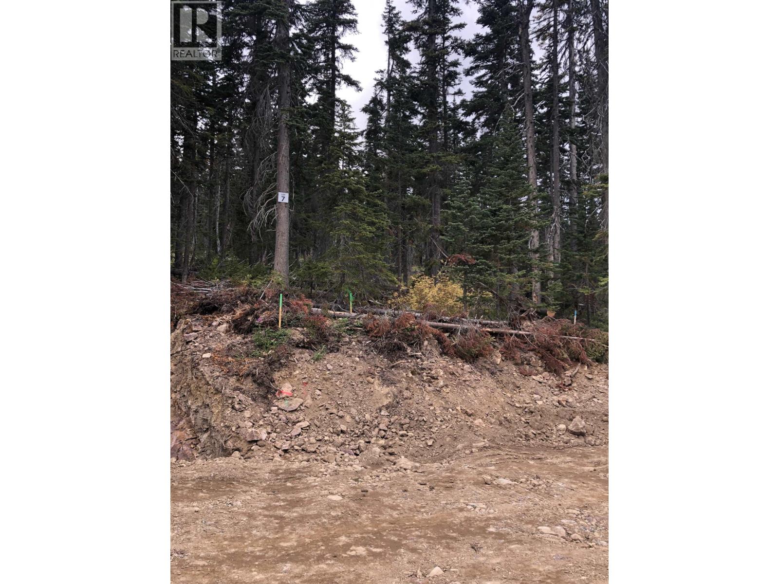 Pt. St Lt 7 Alpine Way Property Photo 4