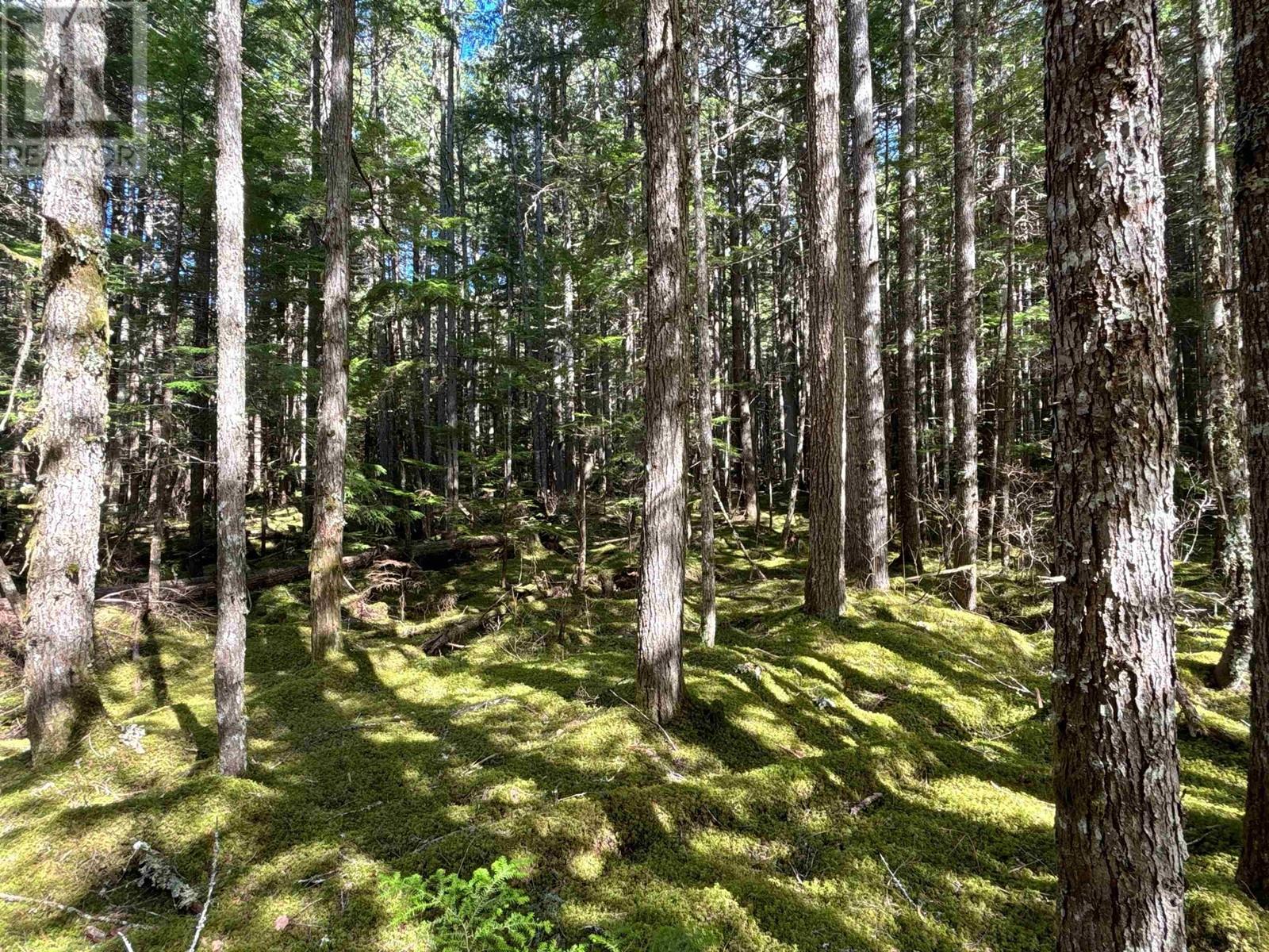 4962 Merkley Road Property Photo 11