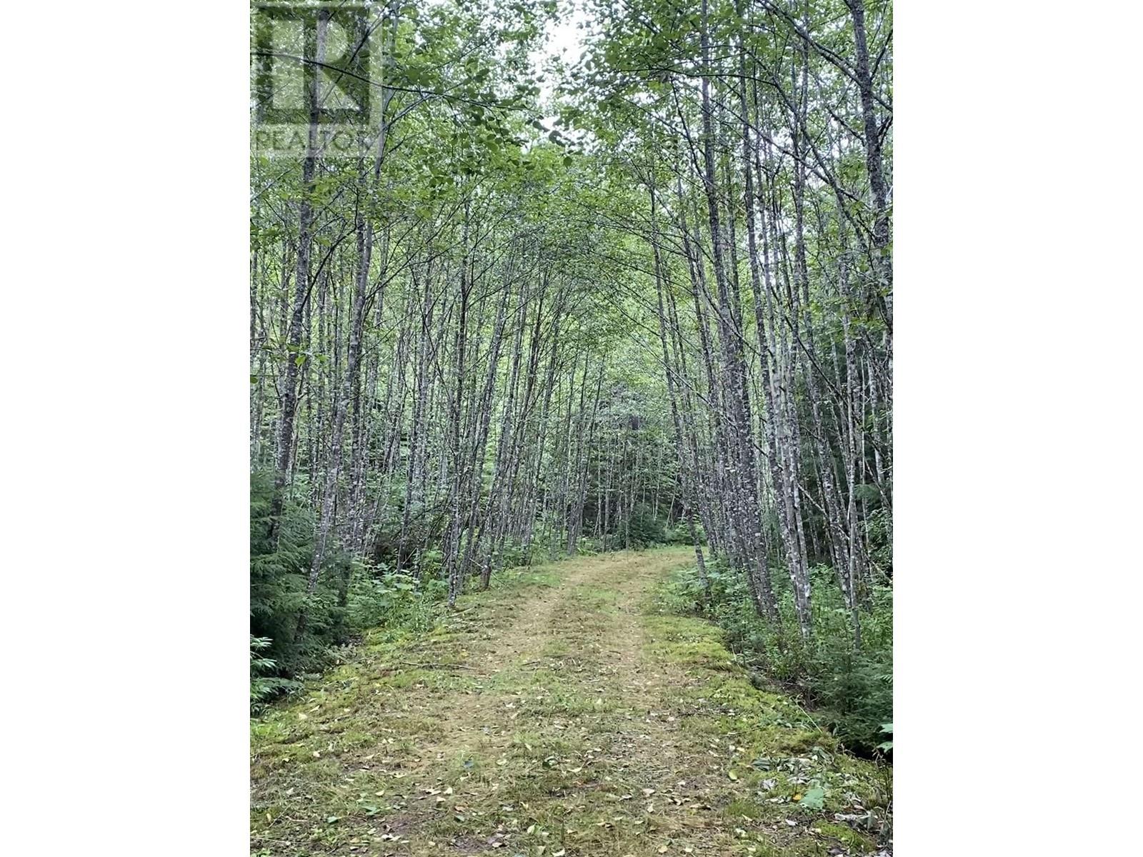 4962 Merkley Road Property Photo 12