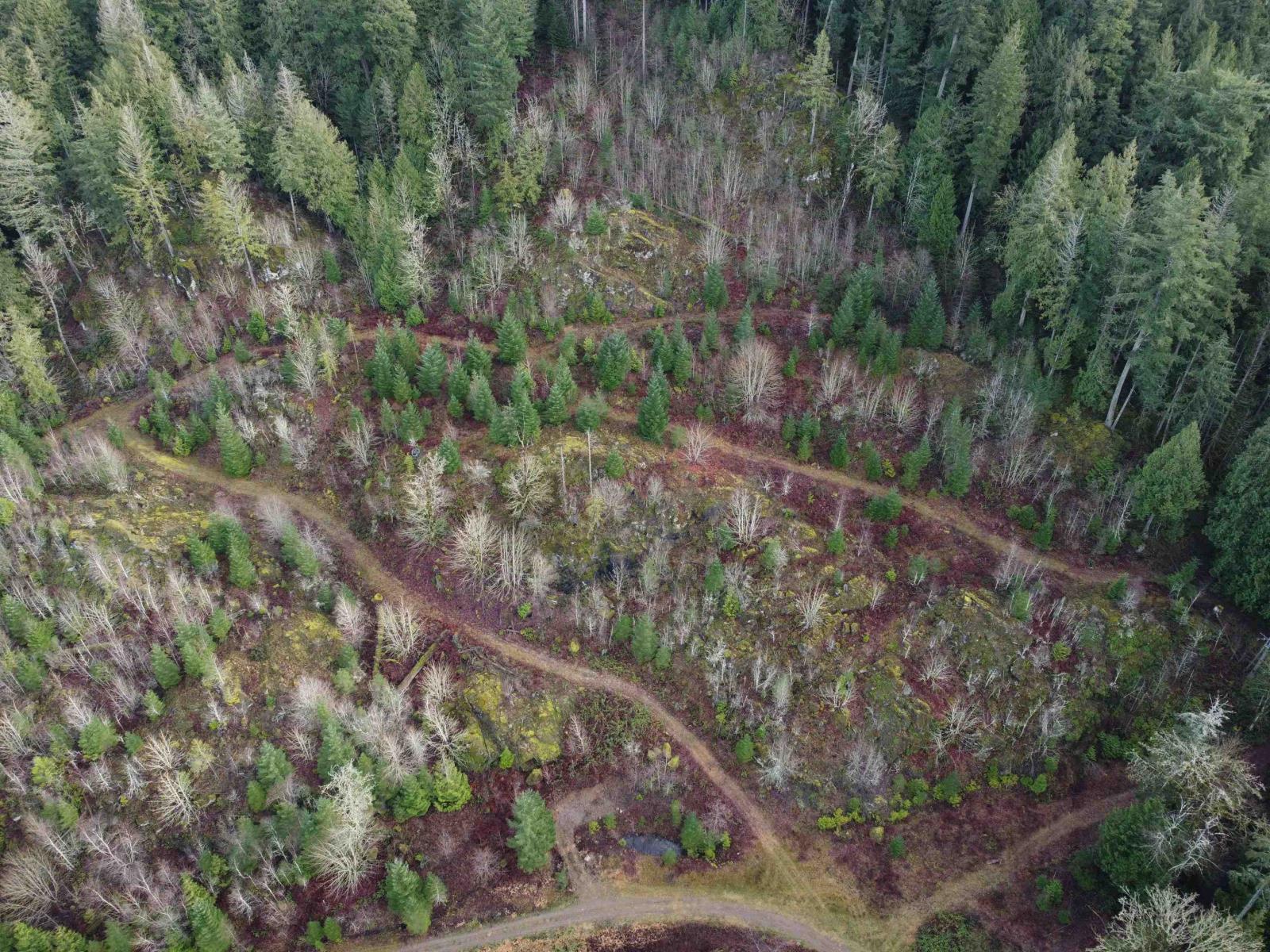 Sub 12 Sec 8 Harrison River, Mt Woodside Property Photo 21