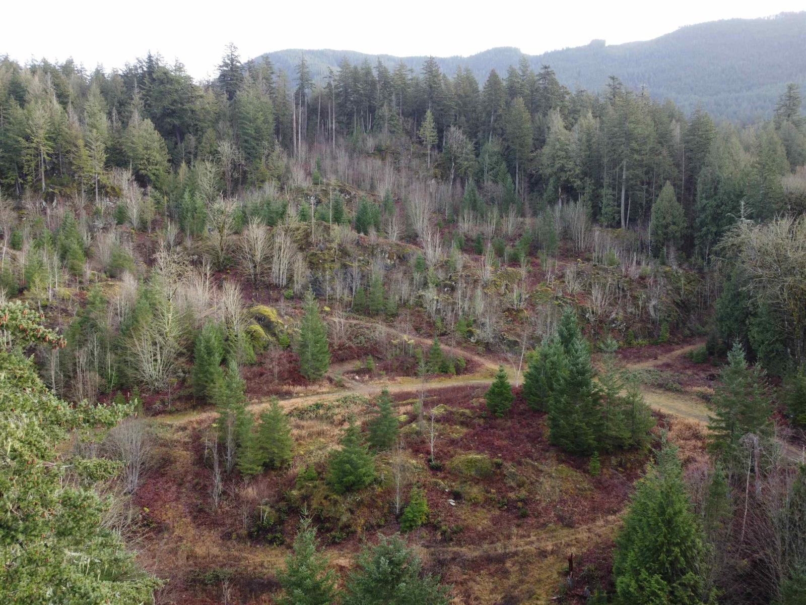 Sub 12 Sec 8 Harrison River, Mt Woodside Property Photo 23
