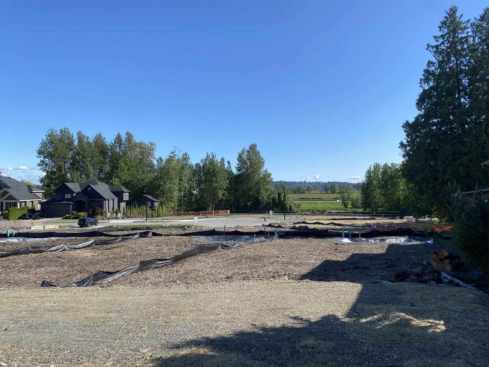 16706 57a Avenue Property Photo 3