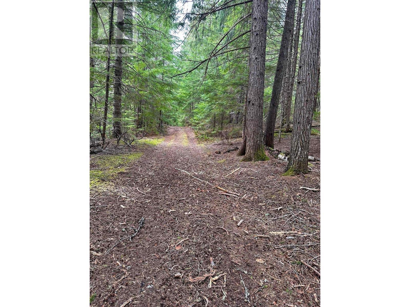 Dl 4772 Skeena River Property Photo 2