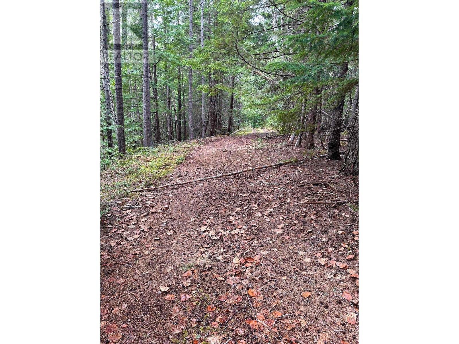Dl 4772 Skeena River Property Photo 4