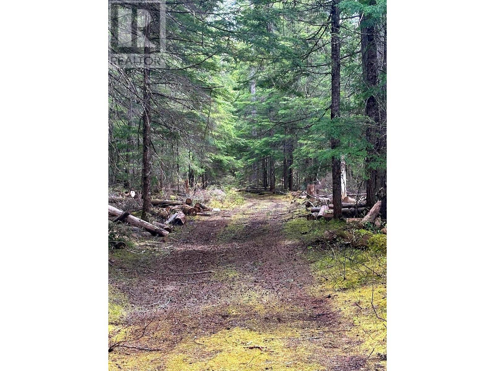 Dl 4772 Skeena River Property Photo 6