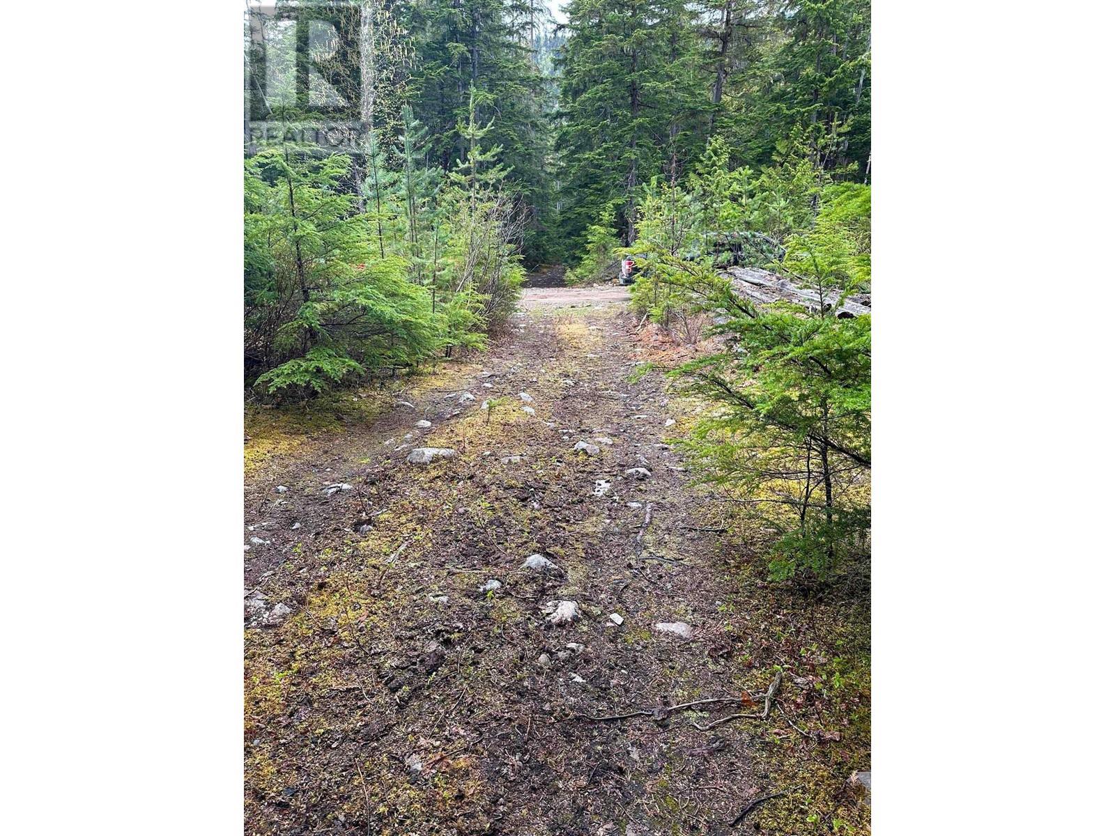 Dl 4772 Skeena River Property Photo 8