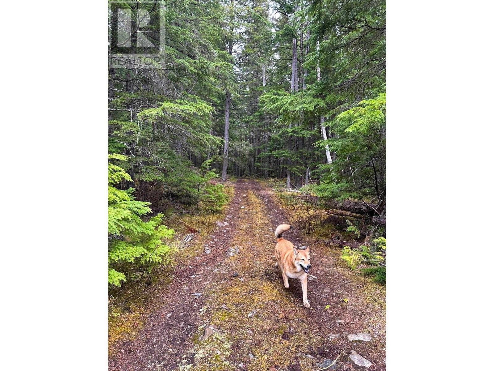 Dl 4772 Skeena River Property Photo 9