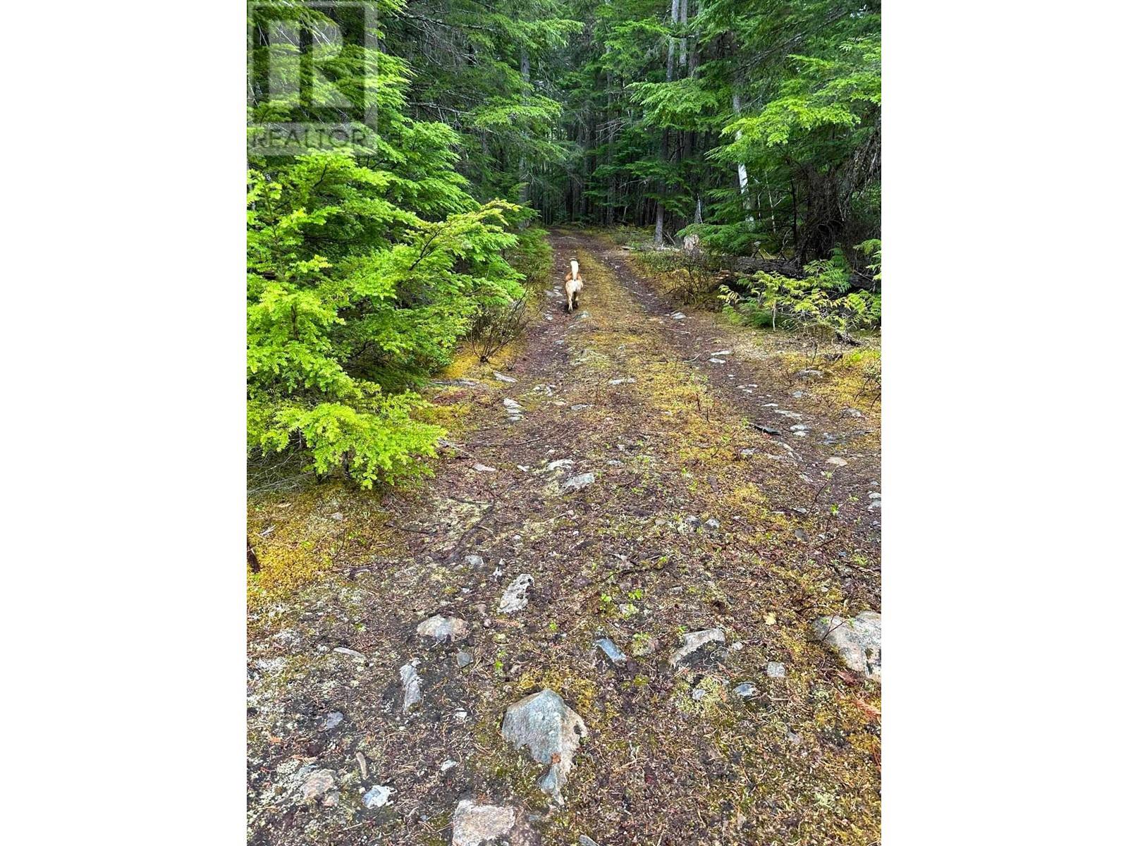 Dl 4772 Skeena River Property Photo 10