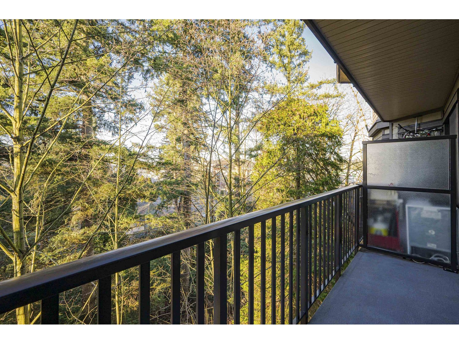 305 19830 56 Avenue Property Photo 18