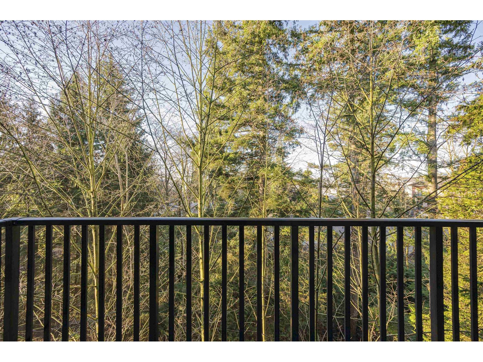 305 19830 56 Avenue Property Photo 19