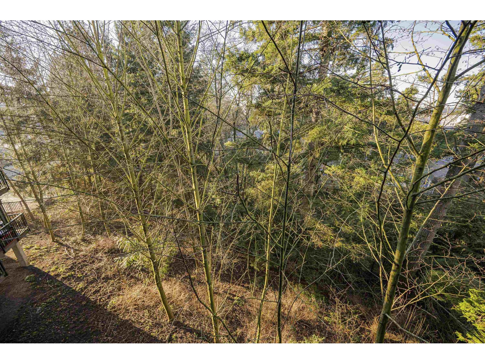 305 19830 56 Avenue Property Photo 21
