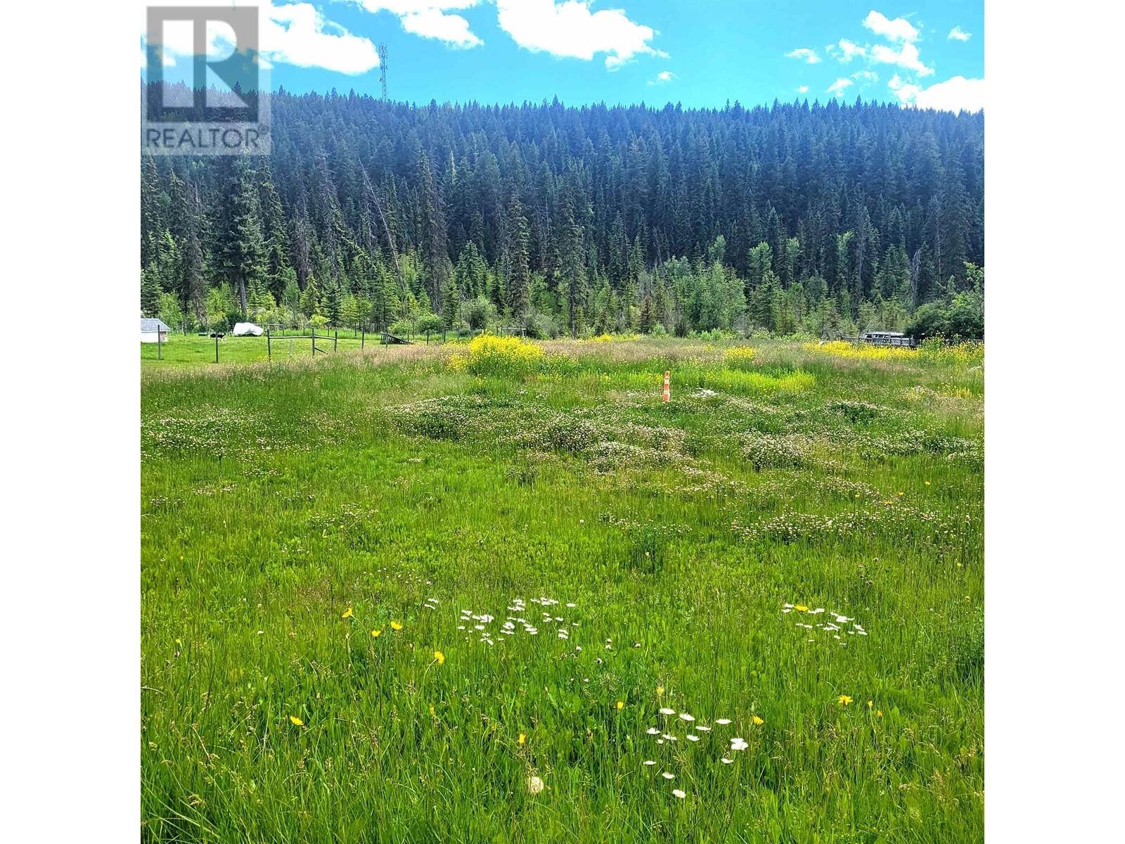 3225 Pine Valley Road Property Photo 4