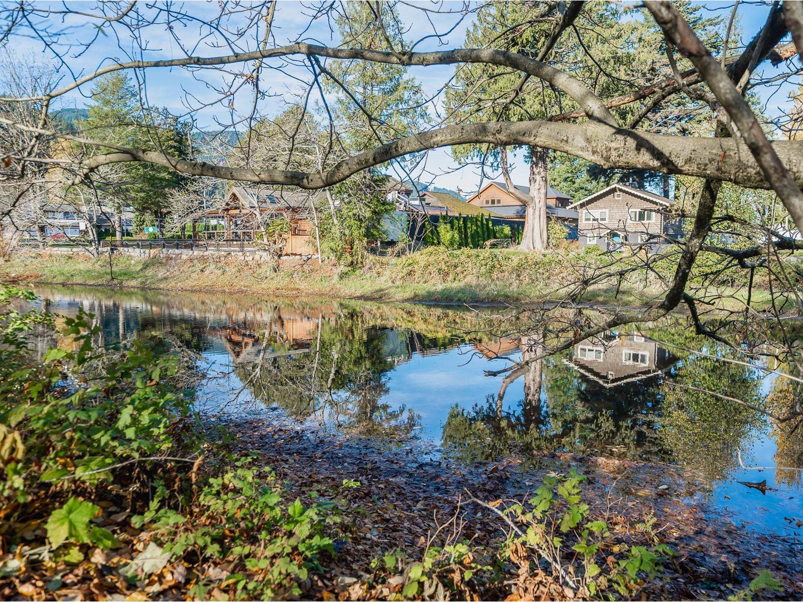 225 Miami River Drive, Harrison Hot Springs Property Photo 6