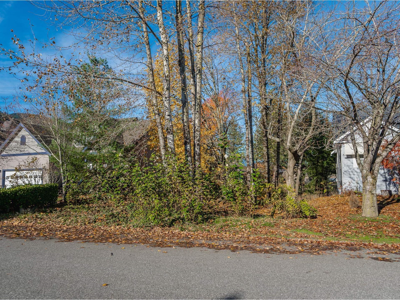 225 Miami River Drive, Harrison Hot Springs Property Photo 28