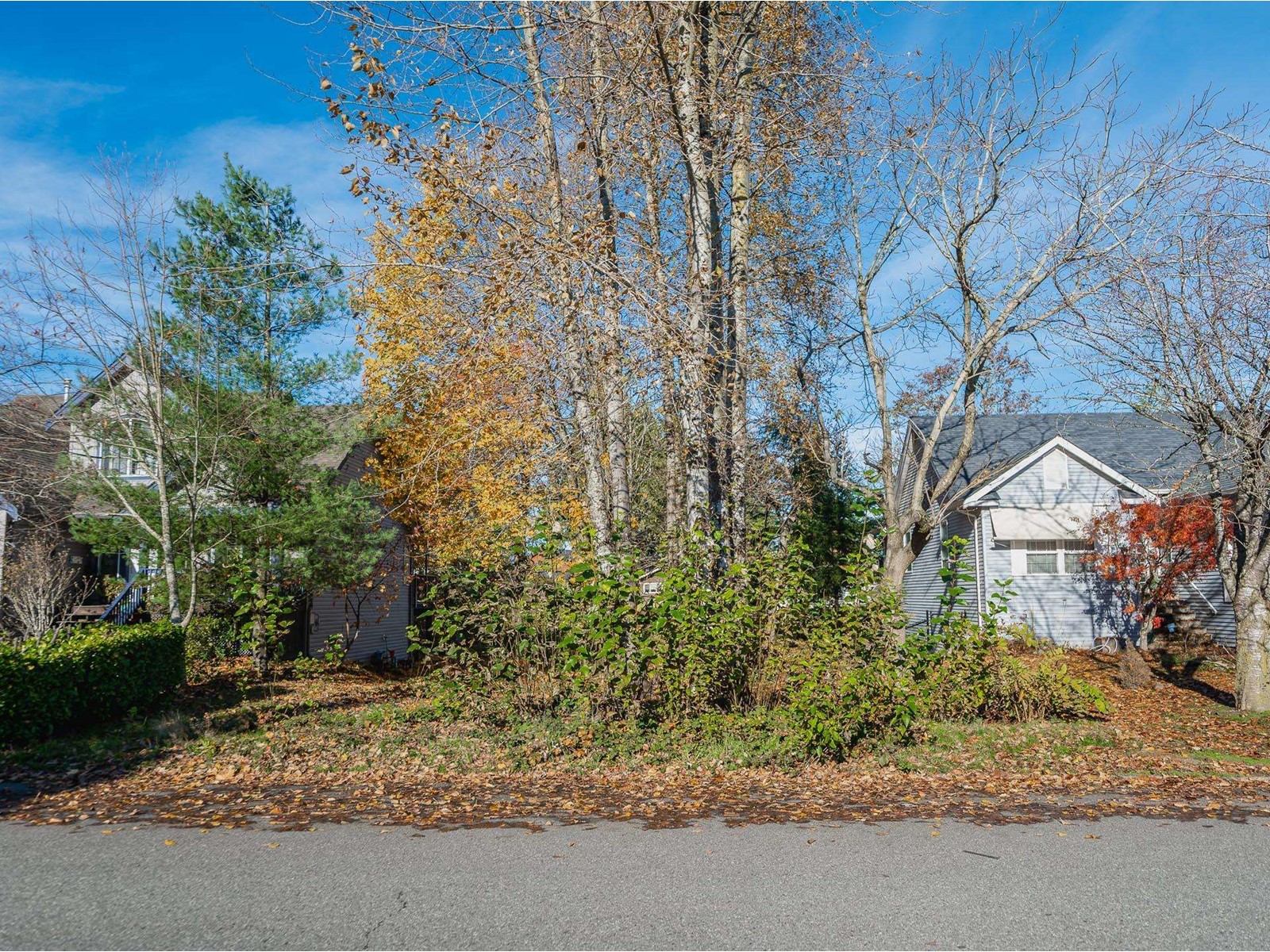 225 Miami River Drive, Harrison Hot Springs Property Photo 29
