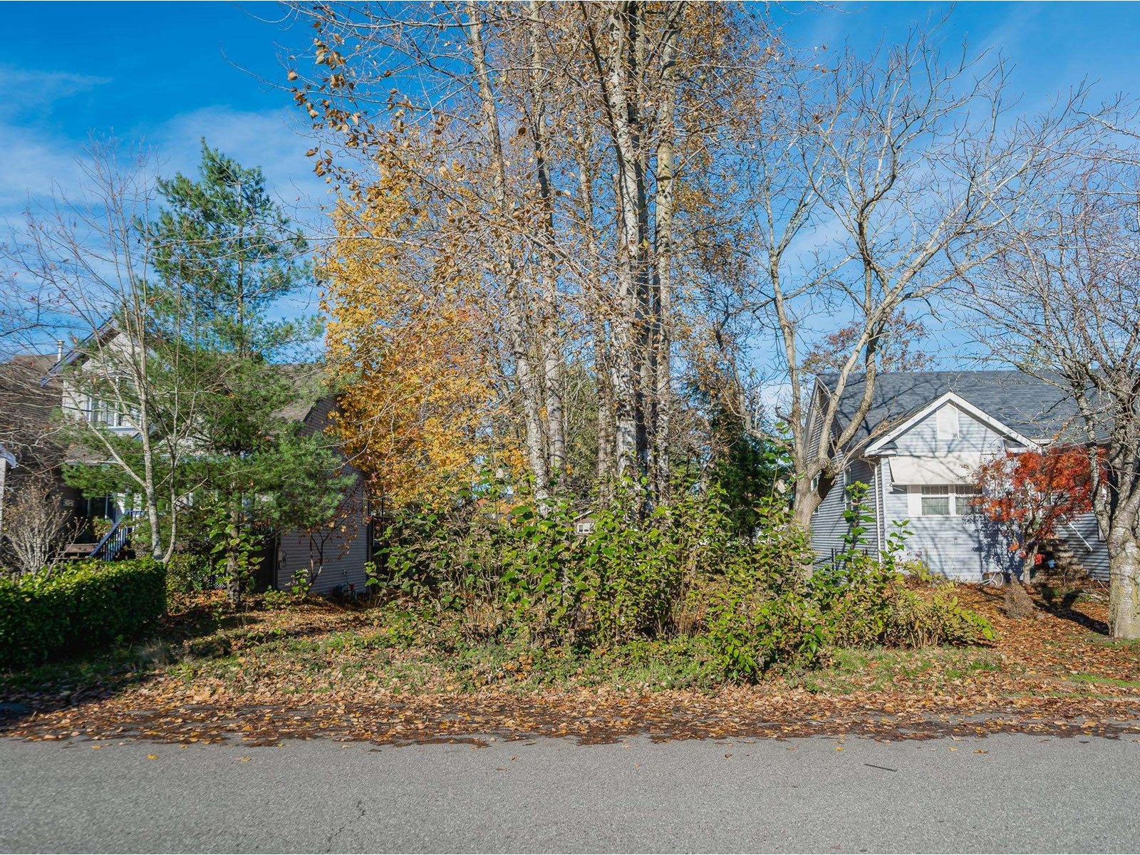 225 Miami River Drive, Harrison Hot Springs Property Photo 29