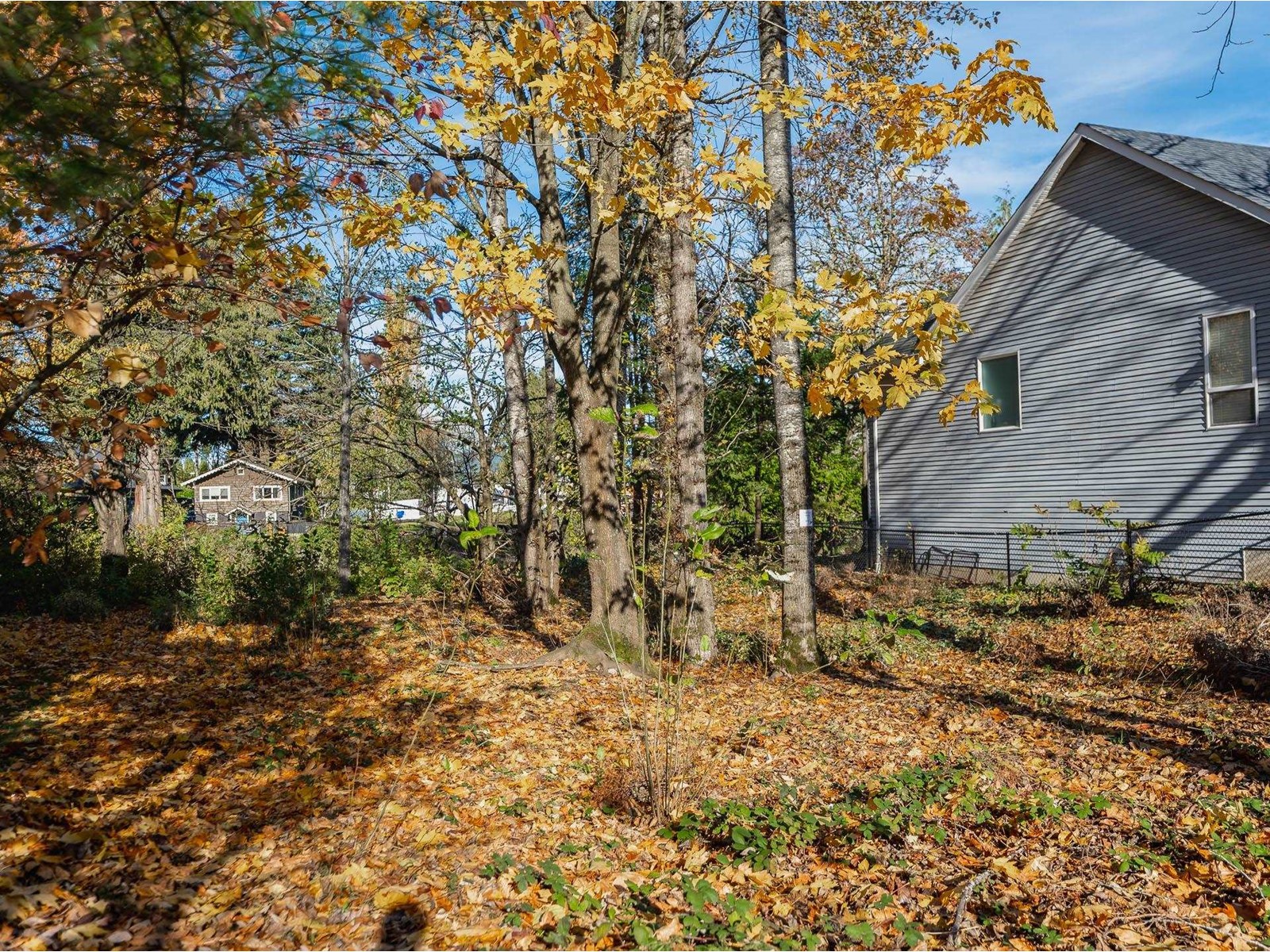 225 Miami River Drive, Harrison Hot Springs Property Photo 33