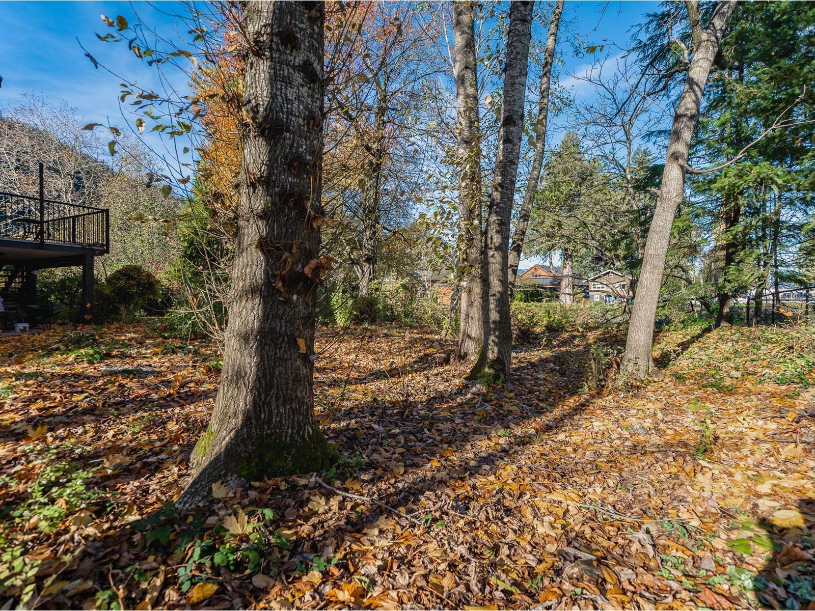 225 Miami River Drive, Harrison Hot Springs Property Photo 34