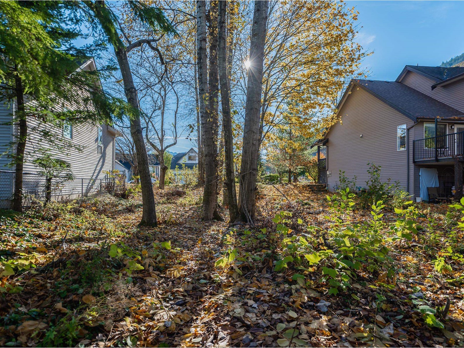 225 Miami River Drive, Harrison Hot Springs Property Photo 35