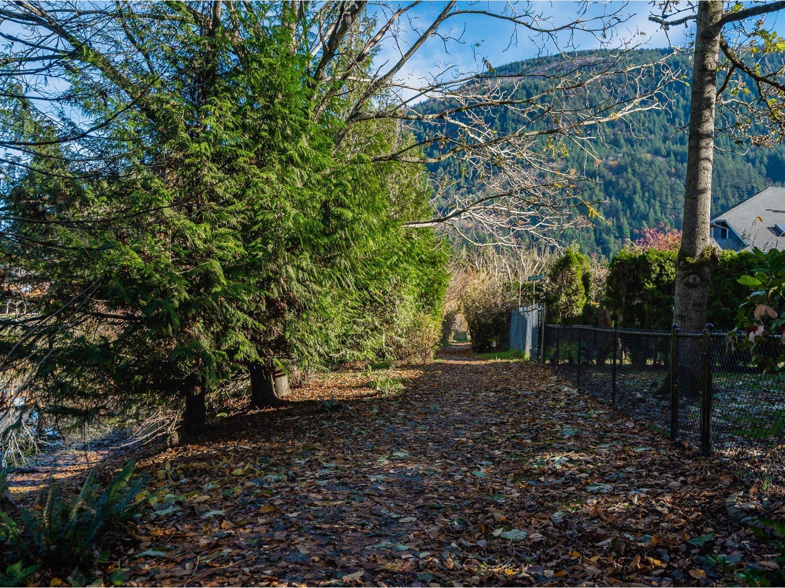 225 Miami River Drive, Harrison Hot Springs Property Photo 36