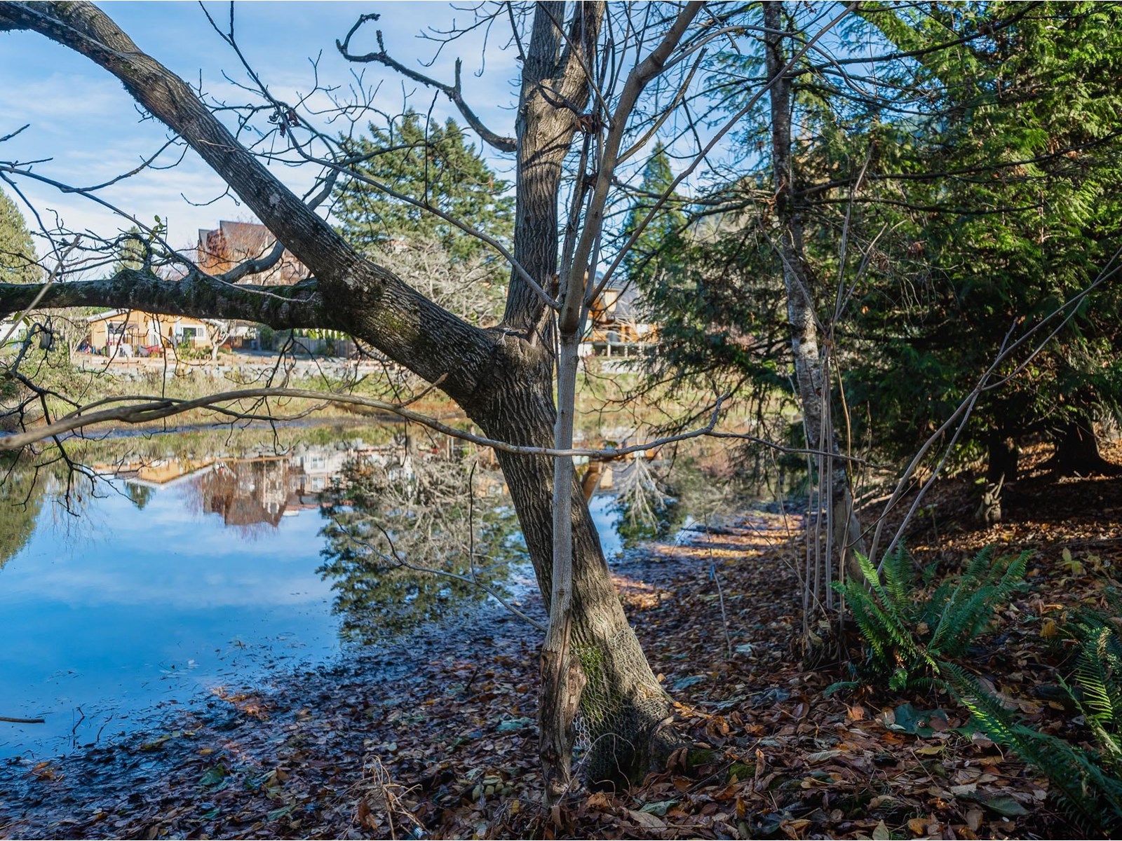 225 Miami River Drive, Harrison Hot Springs Property Photo 38