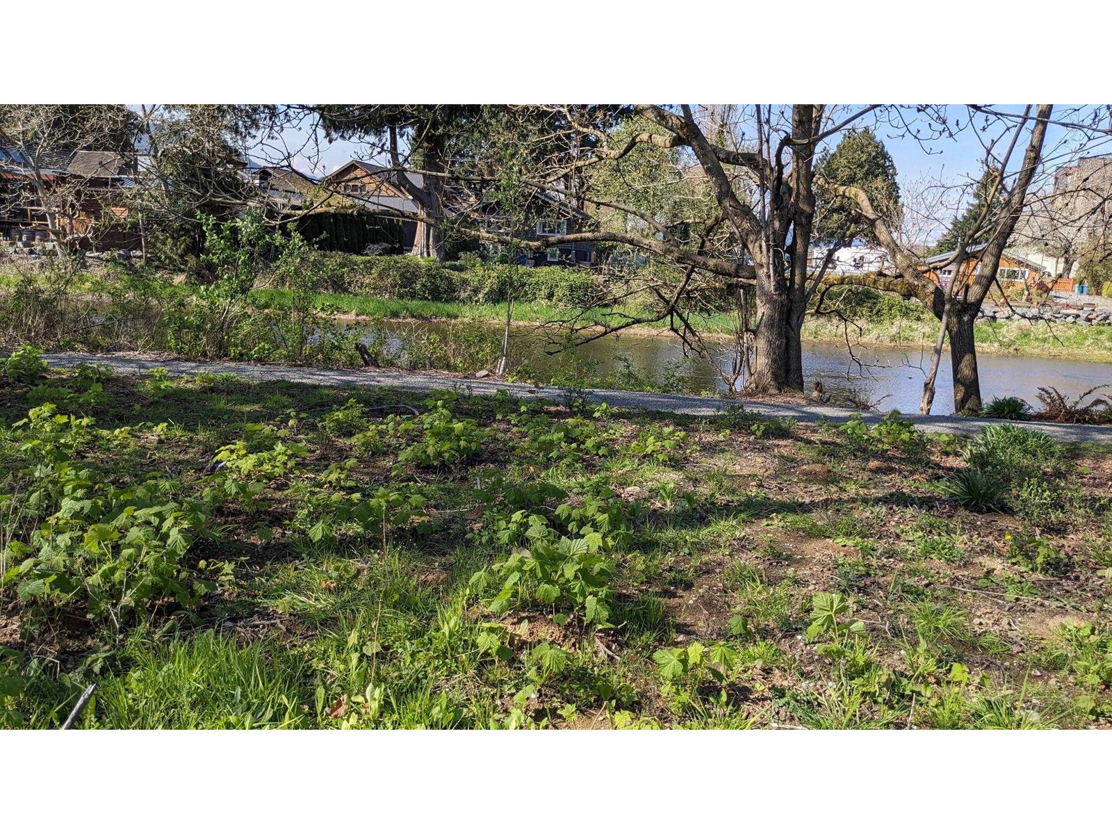 225 Miami River Drive, Harrison Hot Springs Property Photo 40
