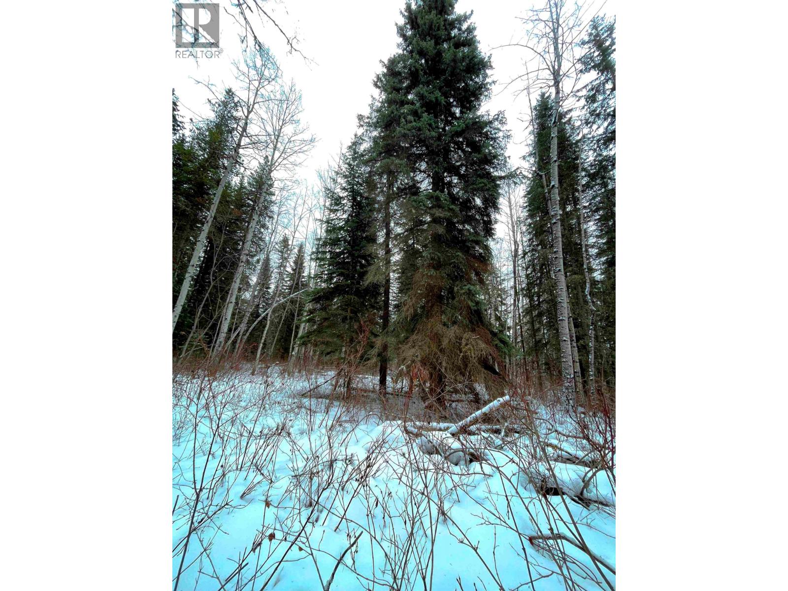 16 Highway Property Photo 22