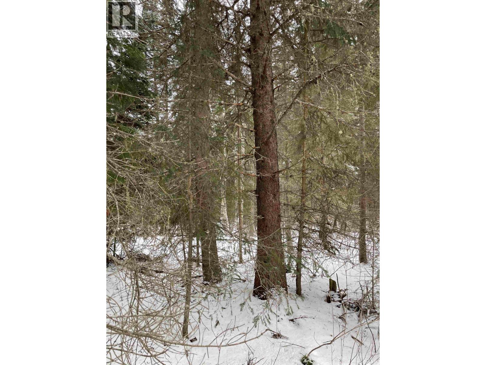 16 Highway Property Photo 25