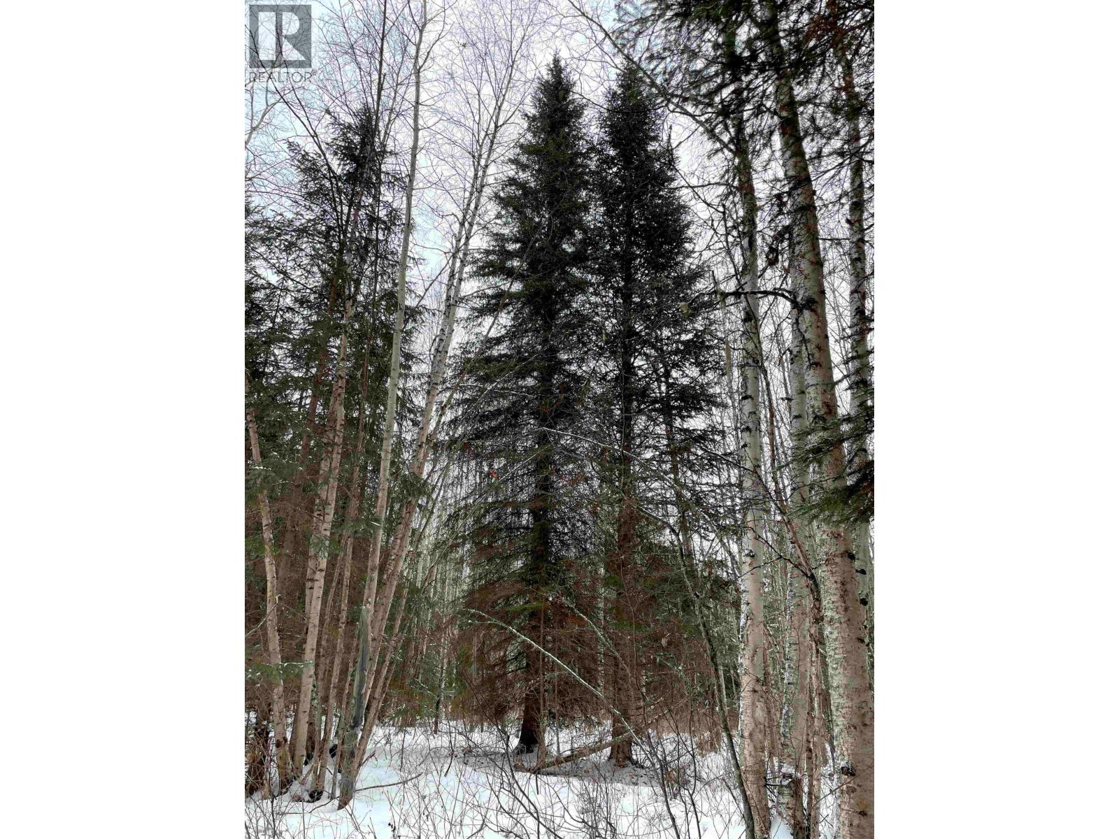 16 Highway Property Photo 26