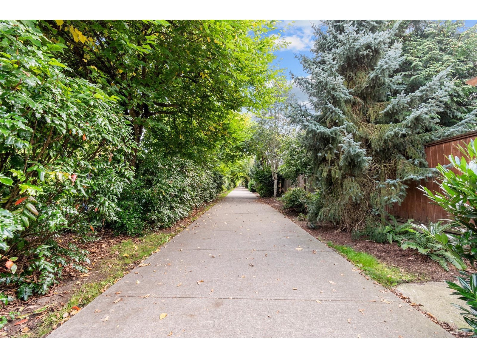 7850 211b Street Property Photo 38
