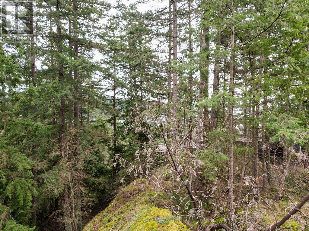 Lot A Skyline Drive Property Photo 5