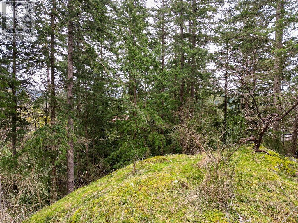 Lot A Skyline Drive Property Photo 7