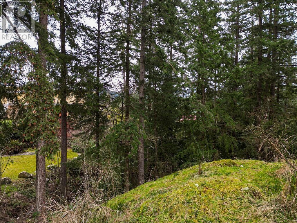 Lot A Skyline Drive Property Photo 8