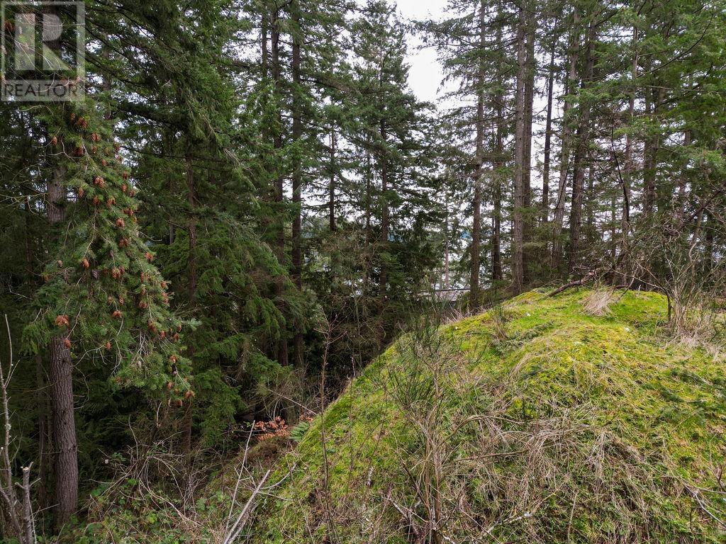 Lot A Skyline Drive Property Photo 9