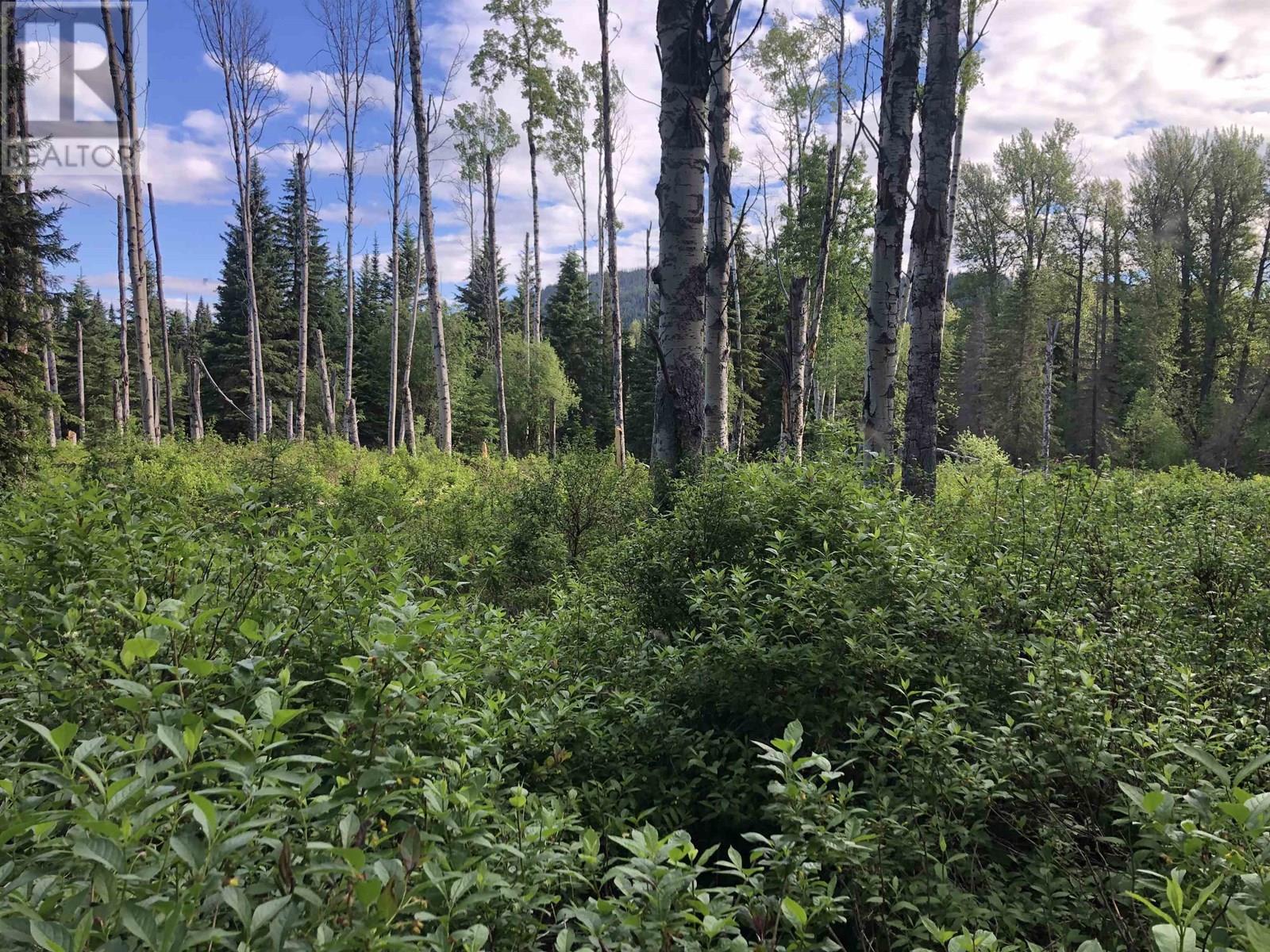 3078 Bradley Creek Road Property Photo 2