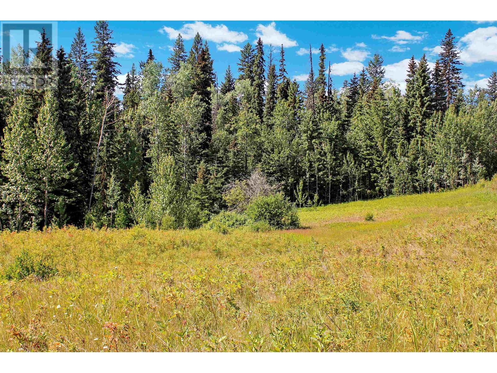 Lot 1 Little Fort 24 Highway Property Photo 13